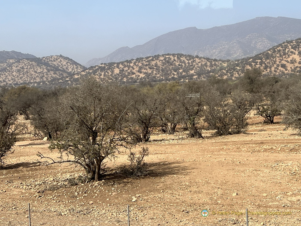 Agadir IMG 1693 wm (105 visits) Agadir IMG 1693 wm