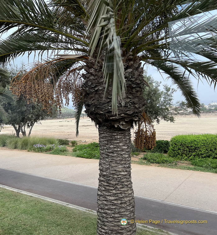 Agadir IMG 1695 wm (97 visits) Agadir IMG 1695 wm