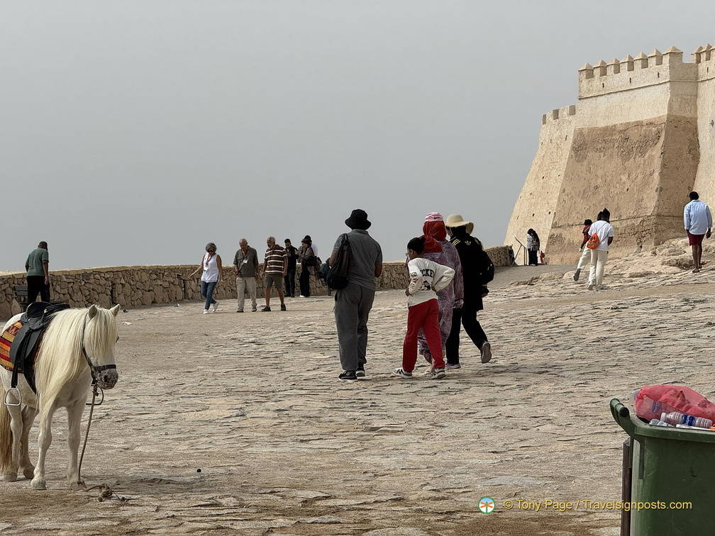 Agadir IMG 4007 wm (100 visits) Agadir IMG 4007 wm