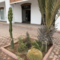 Agadir IMG 4023 wm (108 visits) Agadir IMG 4023 wm