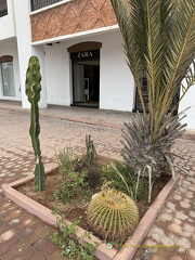Agadir IMG 4023 wm