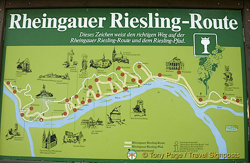 rheingauer-riesling-route_DSC_3305.jpg