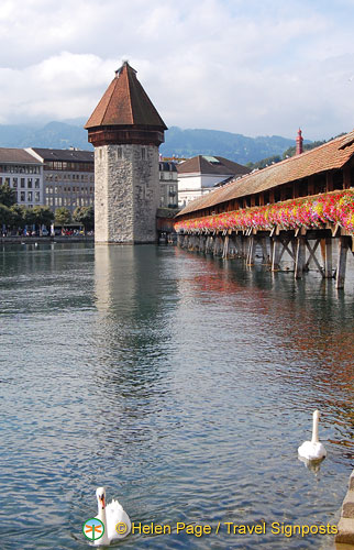 lucerne_DSC4477.jpg