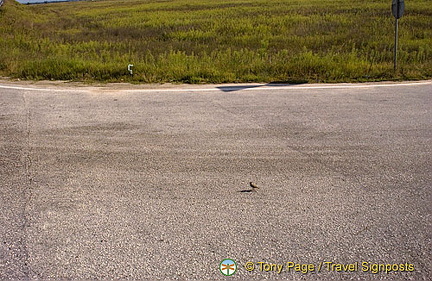 Road to Turkey, Bulgaria