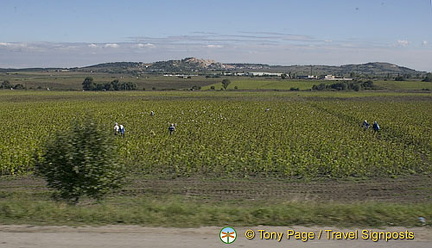 Road to Turkey, Bulgaria