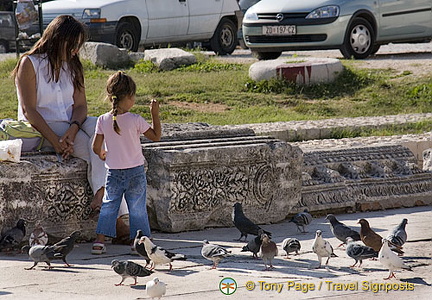 Zadar - Croatia - Pidgeon feeding