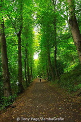 Beautiful walk along the river [Durham - England]