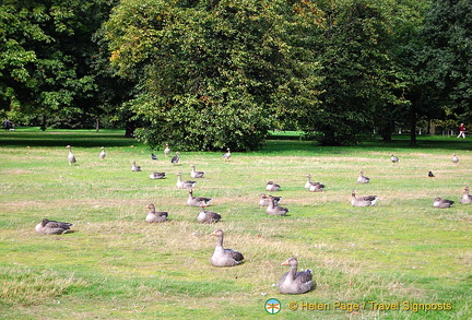 At last count there were 178 bird species