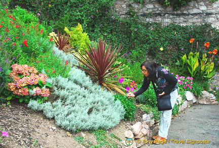 Admiring the beautiful landscape gardens