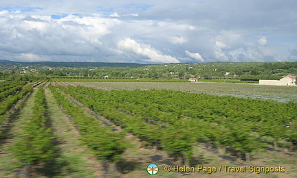 Cavaillon and Luberon, France