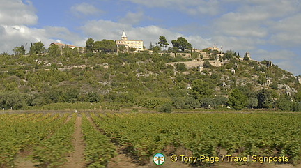 Wine-tasting, Chateauneuf du Pape, Provence, France