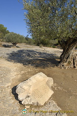 Pont du Gard aqueduct, Provence, France