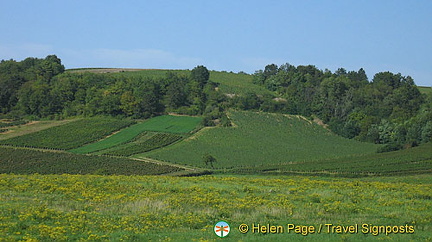 Vezelay - France