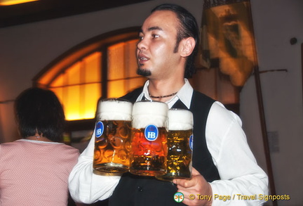 Hofbrau beer