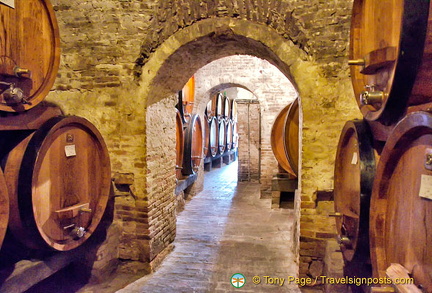 Contucci cellars