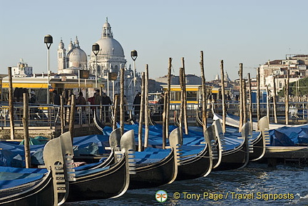 Gondolas near Piazza San Marco