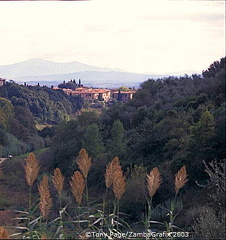 Siena