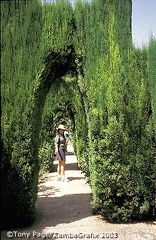 The Alhambra, Granada