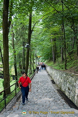 Trip to Bran Castle, Transylvania