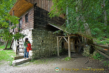 Trip to Bran Castle, Transylvania