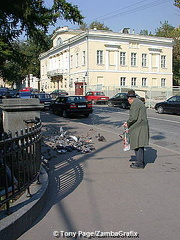 An elderly man feeding the birds