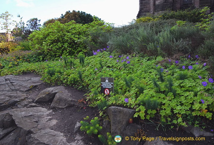 Garden of the Scottish National War Memorial