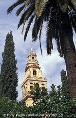 Torre del Alminar 