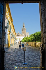 View of La Giralda from the Alcazar