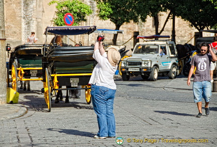 There's plenty to keep the cameras snapping in Seville