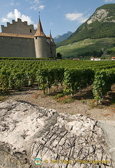 Aigle | Chablais | Switzerland