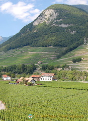 Aigle | Chablais | Switzerland