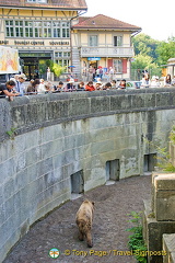 Berne Bear Pits and Rose Garden