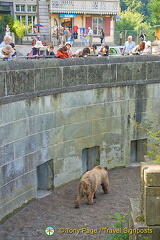 Berne Bear Pits and Rose Garden