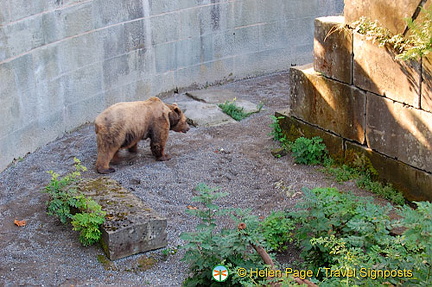 Berne Bear Pits and Rose Garden