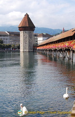 Lucerne