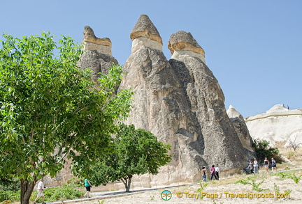 A family of fairy chimneys