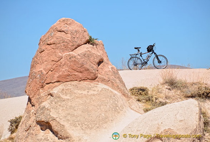 Bike posing for a shot at Rose Valley