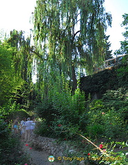 Chekhov's House, Yalta