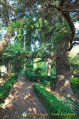 Chekhov's House, Yalta