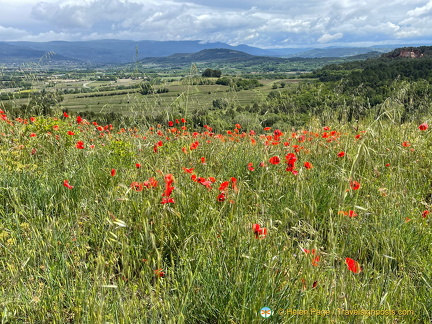 Roussillon IMG 0793