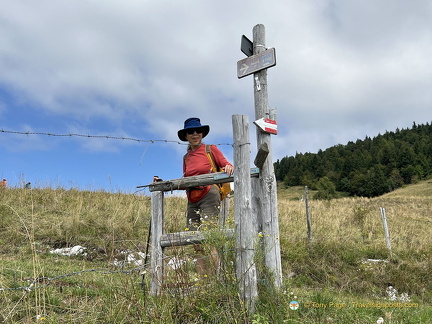 Red and white waymark