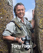 Tony Page